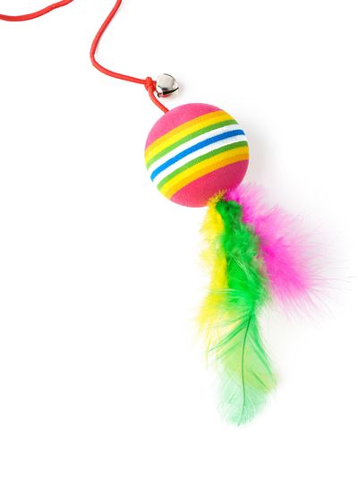 Cat toys isolated on white background studio shot