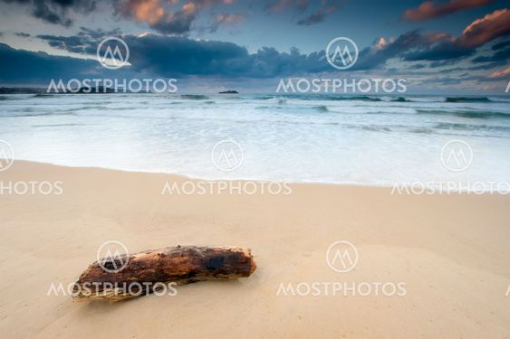Trunk on the beach in Pedreña
