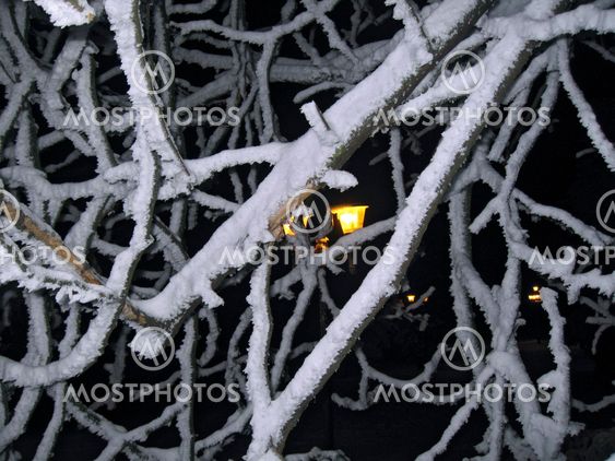 Yellow street lamp and the snowy branches