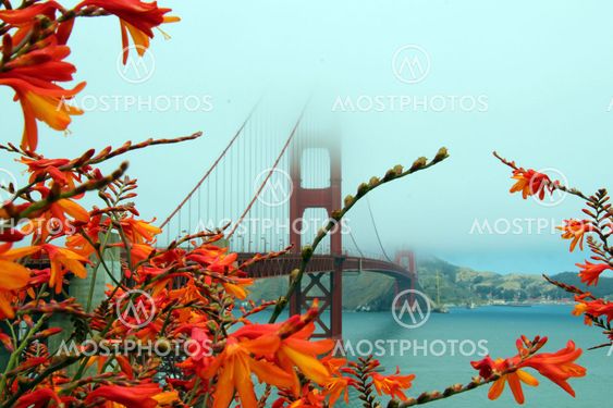 Golden Gate