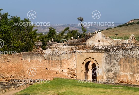 Roman ruins at Chellah Morocco