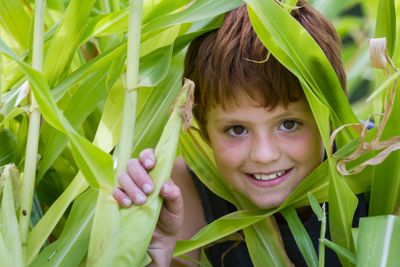 young boy happy with his corn