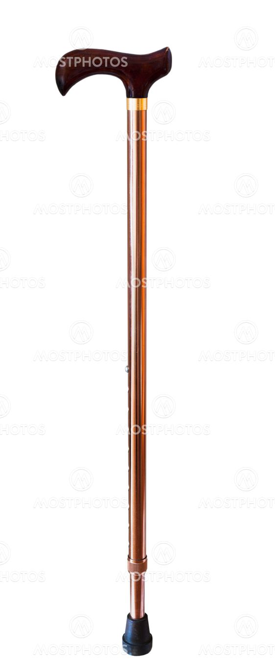 walking stick