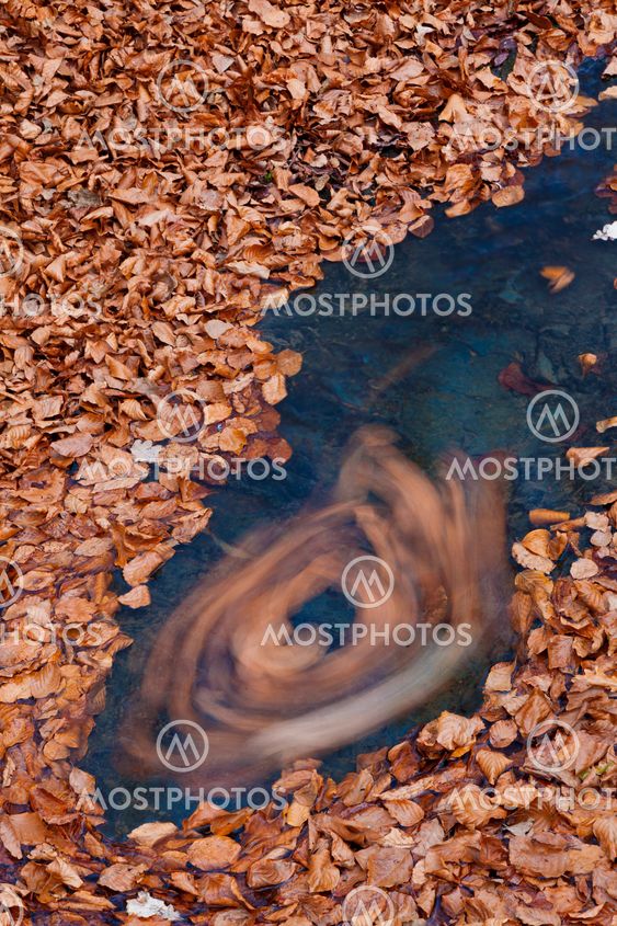 River in autumn, Forest of Otzarreta, Alava, Basque Country, Spain