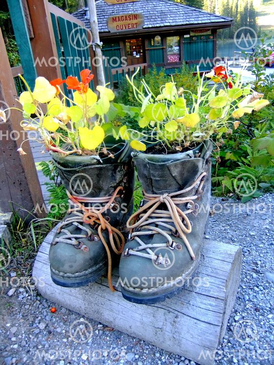 Novelty flower planter made of hiking boots, Emerald...