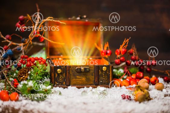 Christmas winter fairy with miracle in opened chest. Winter background of mystery gift New Year, fir tree and snow