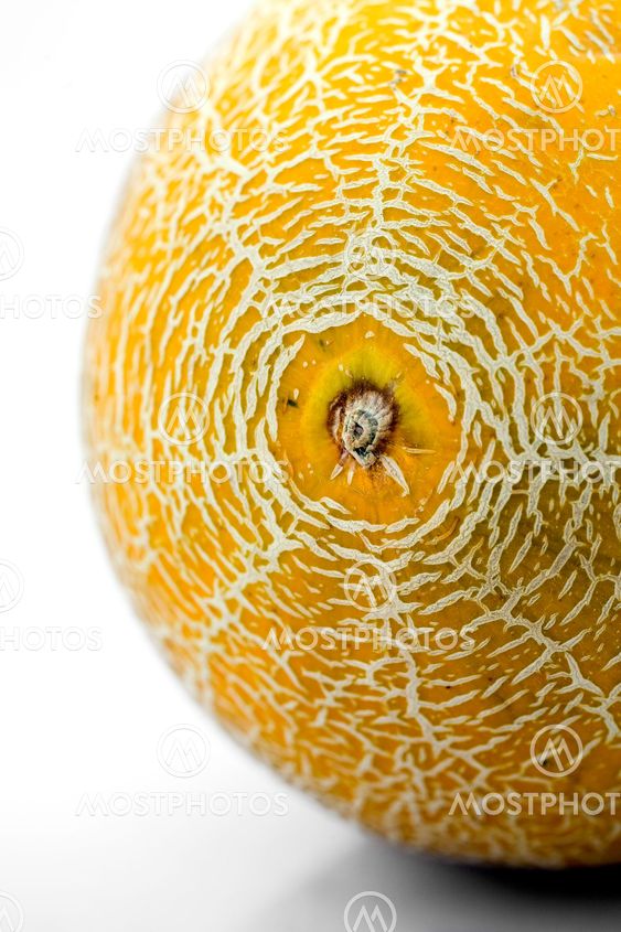 Cucumis melo , skandinaviskt , meloner , Galia