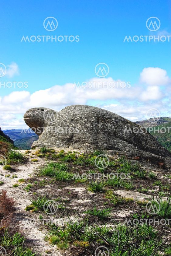 Natural sculpture of turtle, Castro Laboreiro, Portugal.