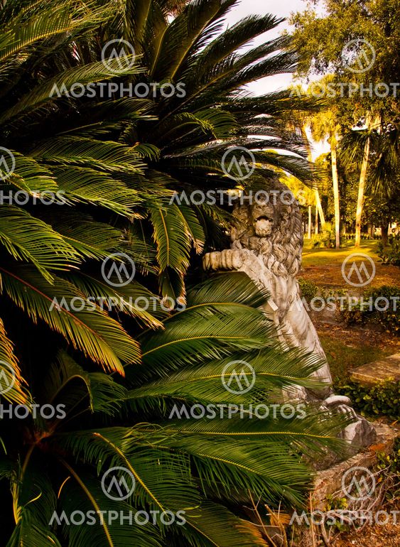 Stone Lion 2