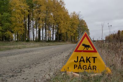 Varning till älgarna