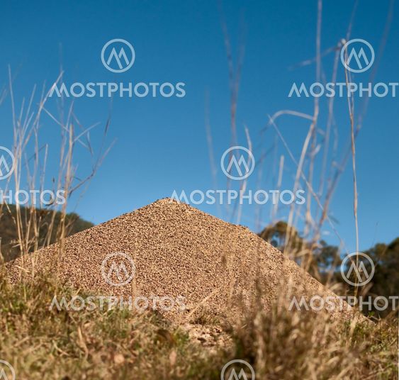 Australian bull ant nest with blue sky horizon