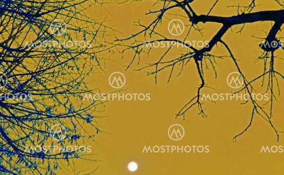 plantera japanism, digital målning av inspiraton japanska