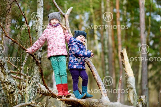 Two funny little sisters sitting on a log during forest...