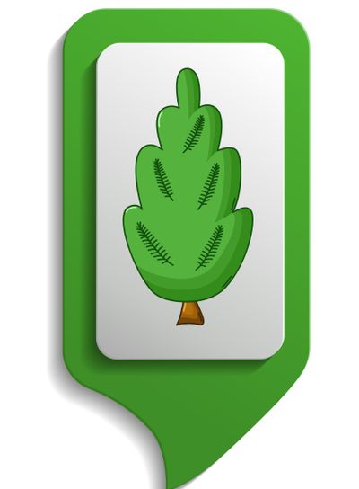 Map sign juniper tree icon, cartoon style