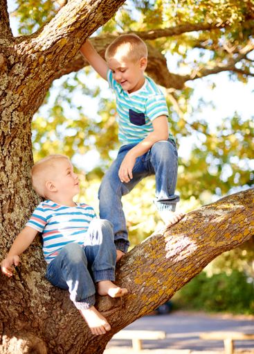 Happy, climbing and children in tree at park for...