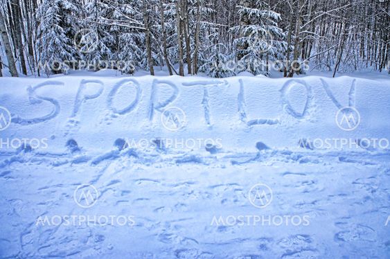 Winter Holidays
