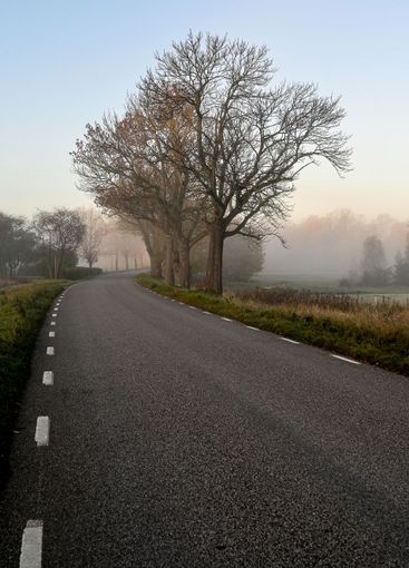 Asfalterad väg genom disigt landskap