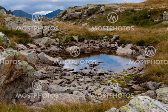 Water on the meadow - Pyrenees