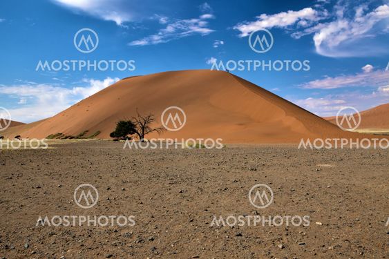 dune 45 near sossusvlei namibia africa