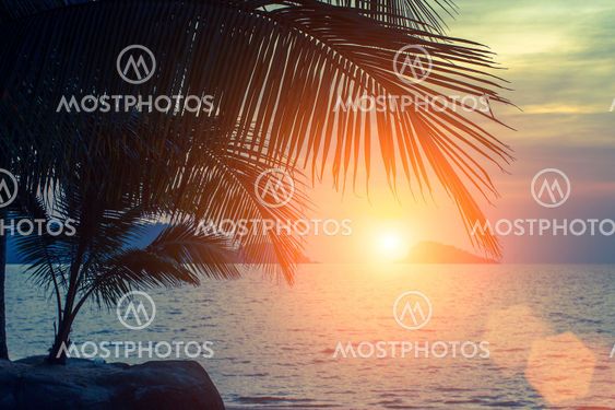 Sunset on the tropical Sea coast.