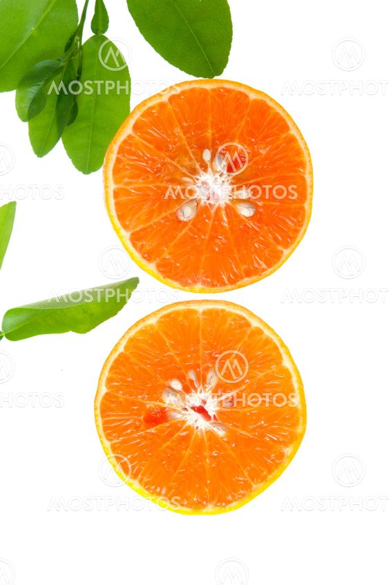 Slices of orange
