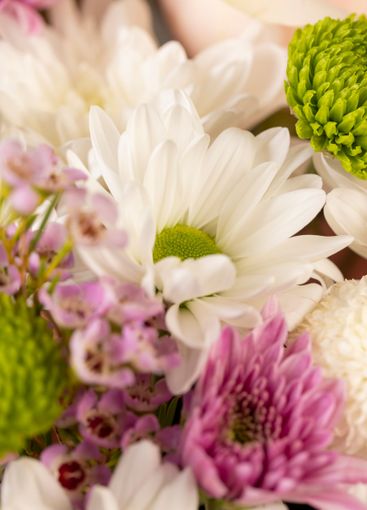 a bouquet of a large number of white flowers for a gift