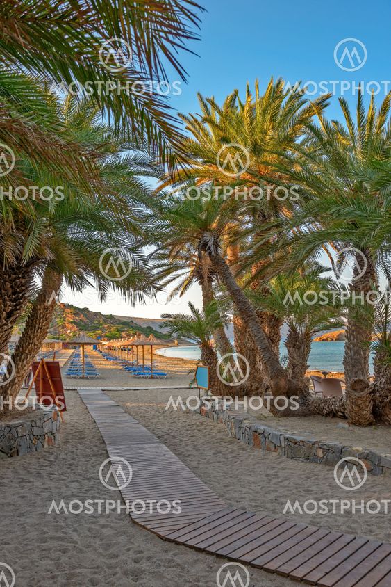 Tropical beach