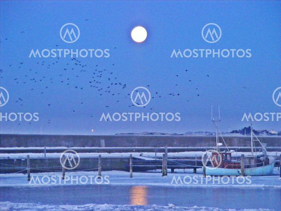 Harbour morning