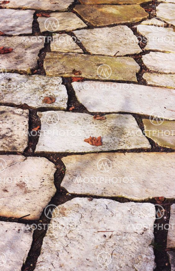 Paved path in a garden
