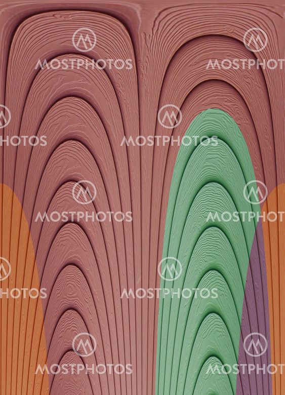 Texture of wood background