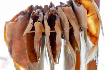 Dried fish hanging in a sunny seaside location for...