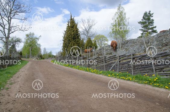 Along an old fashioned road