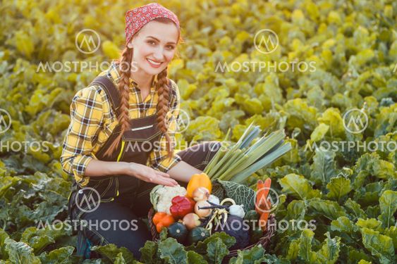 Farmer woman offering basket of healthy organic vegetables