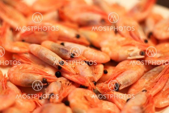A Boiled Shrimps Background ready for eating