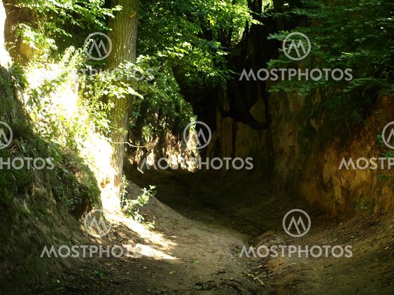 Ravine in Kazimierz Dolny, Poland