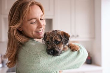 Female Owner Holding And Cuddling Border Terrier Puppy...