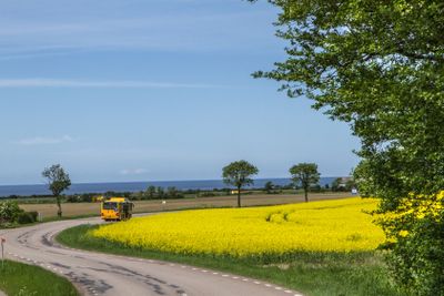 Landskapsbild i Skåne