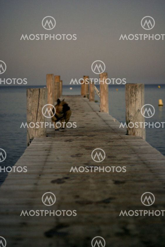 Steg am Mittelmeer
