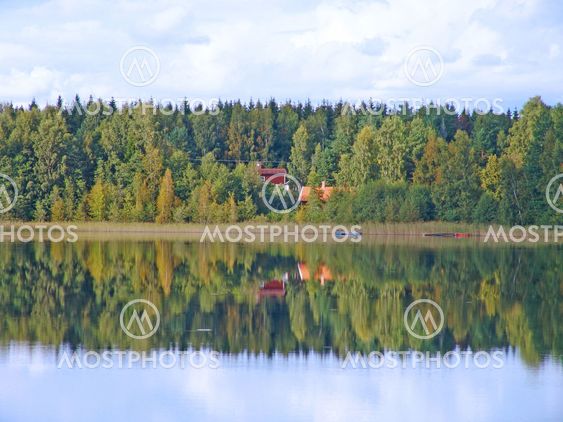 The Lake
