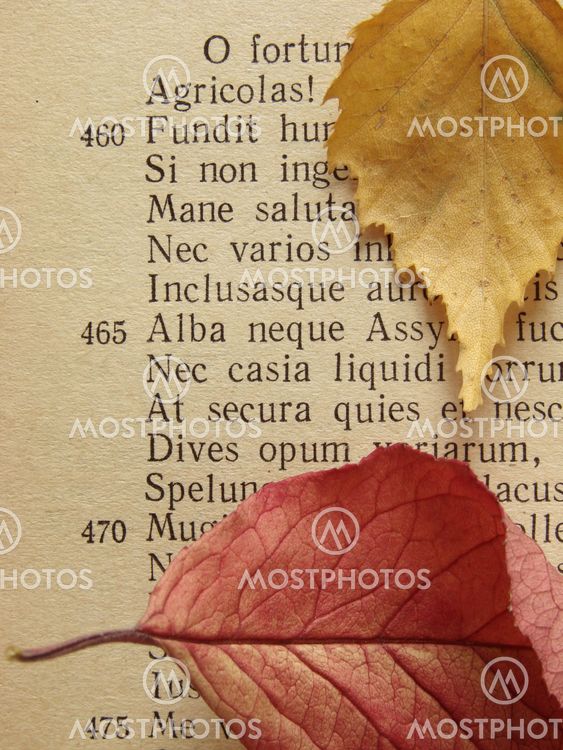 ancient poem 1
