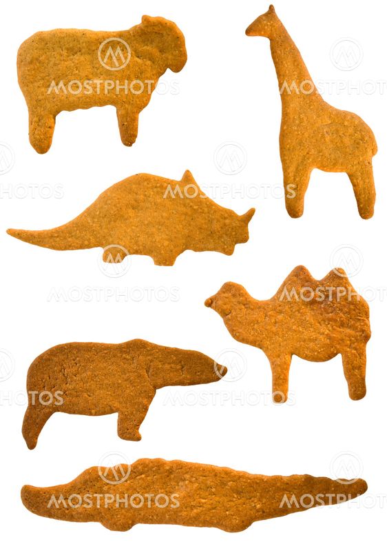 Gingerbread cookies