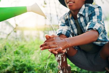 Hands, agriculture and washing with water can, person or...