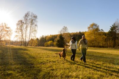 Couple walk dog in countryside autumn sunset 