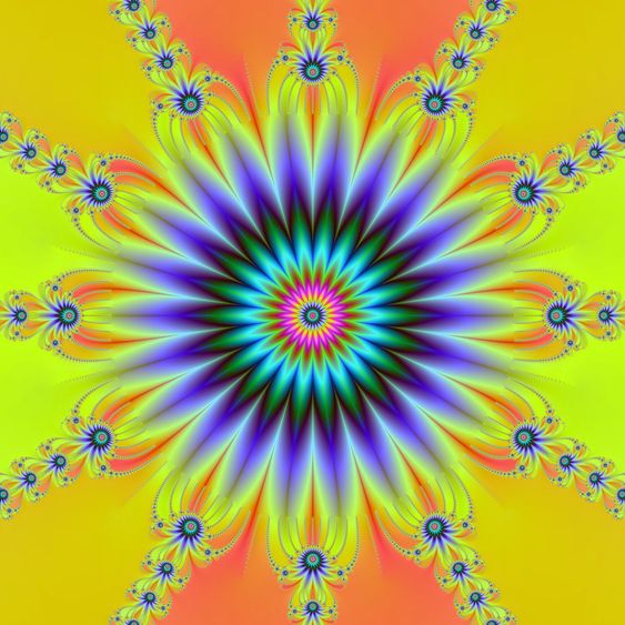 Rosette Flower