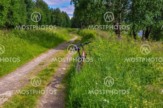 Road lengthwise coast