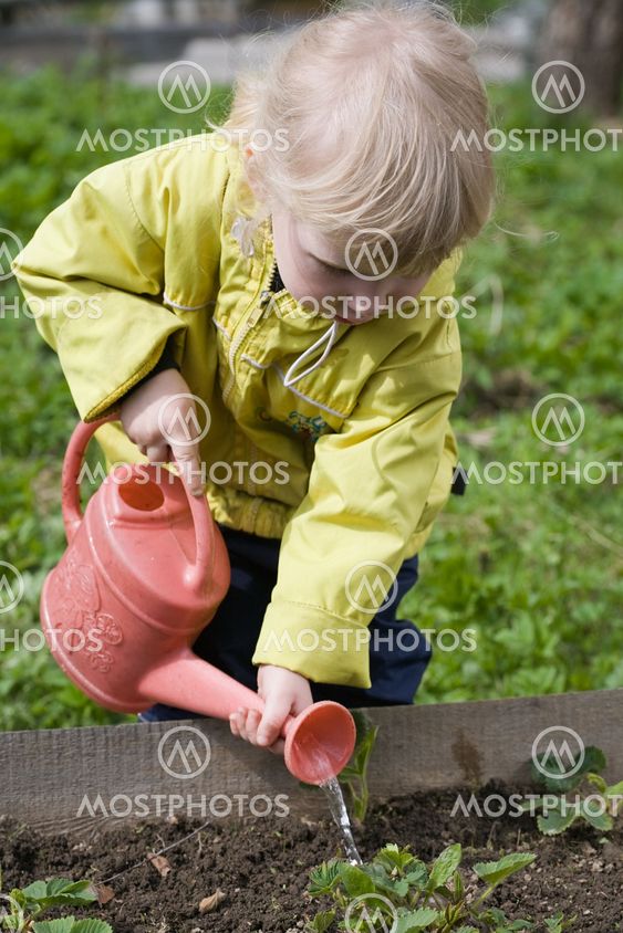 little gardener