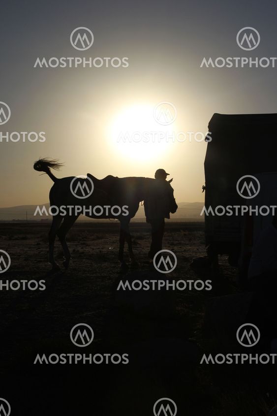 horse owner and sunset