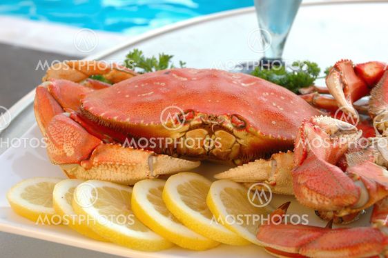 Crab by Pool