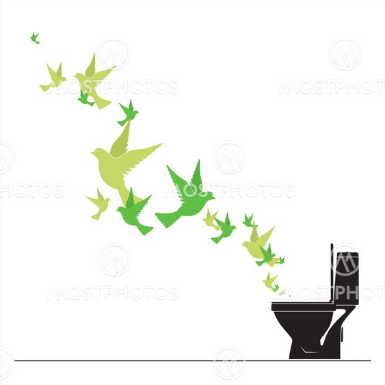 Abstract vector illustration of toilet bowl and birds.