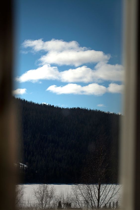 molngubbe gortom skogen